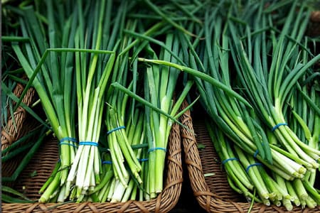 A cebolinha é um componente fundamental da culinária brasileira, adicionando sabor e aroma a diversos pratos.