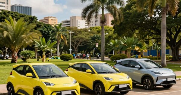 carros elétricos mais baratos no Brasil